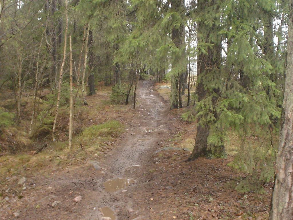 DSC02967.JPG