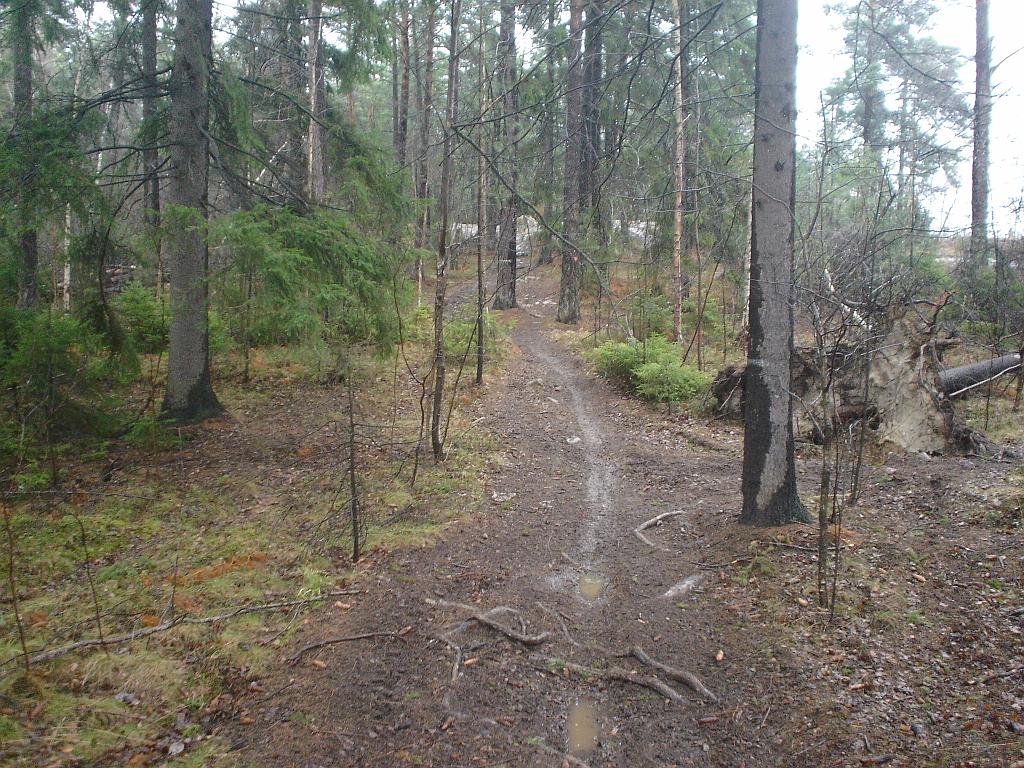 DSC02980.JPG