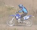 JOF_1428