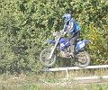 JOF_1433