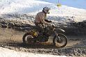 JOF_4697